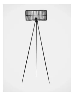 156cm Isamanda Floor Lamp With Rattan Shade In Black